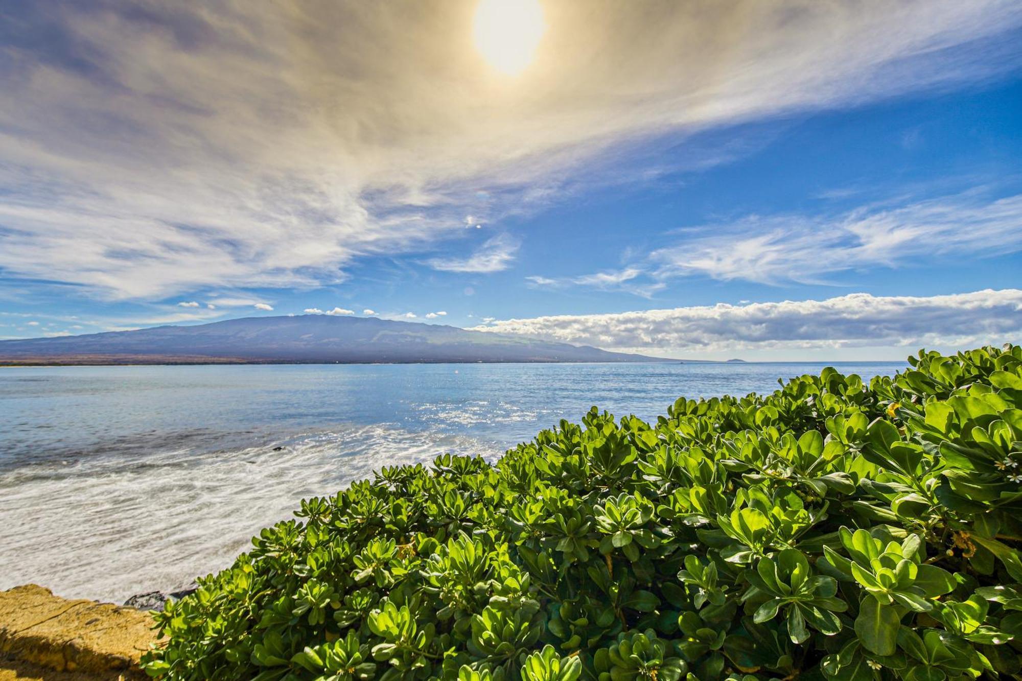 Island Sands Resort Maalaea Bilik gambar